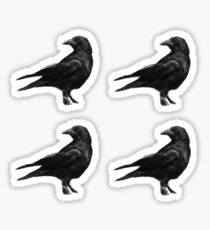 Four crows Sticker