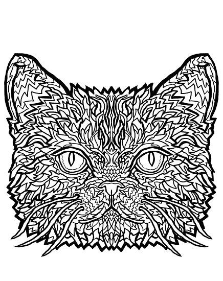 "American Shorthair Cat - Complicated Coloring" Posters by complicolor