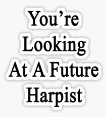You're Looking At A Future Harpist Sticker