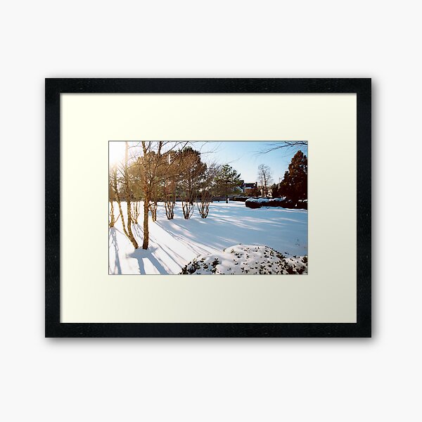 Serenity And Sunshine Framed Art Print