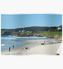 Popular beach Poster