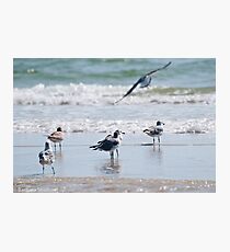 Preparing for Take-Off Photographic Print
