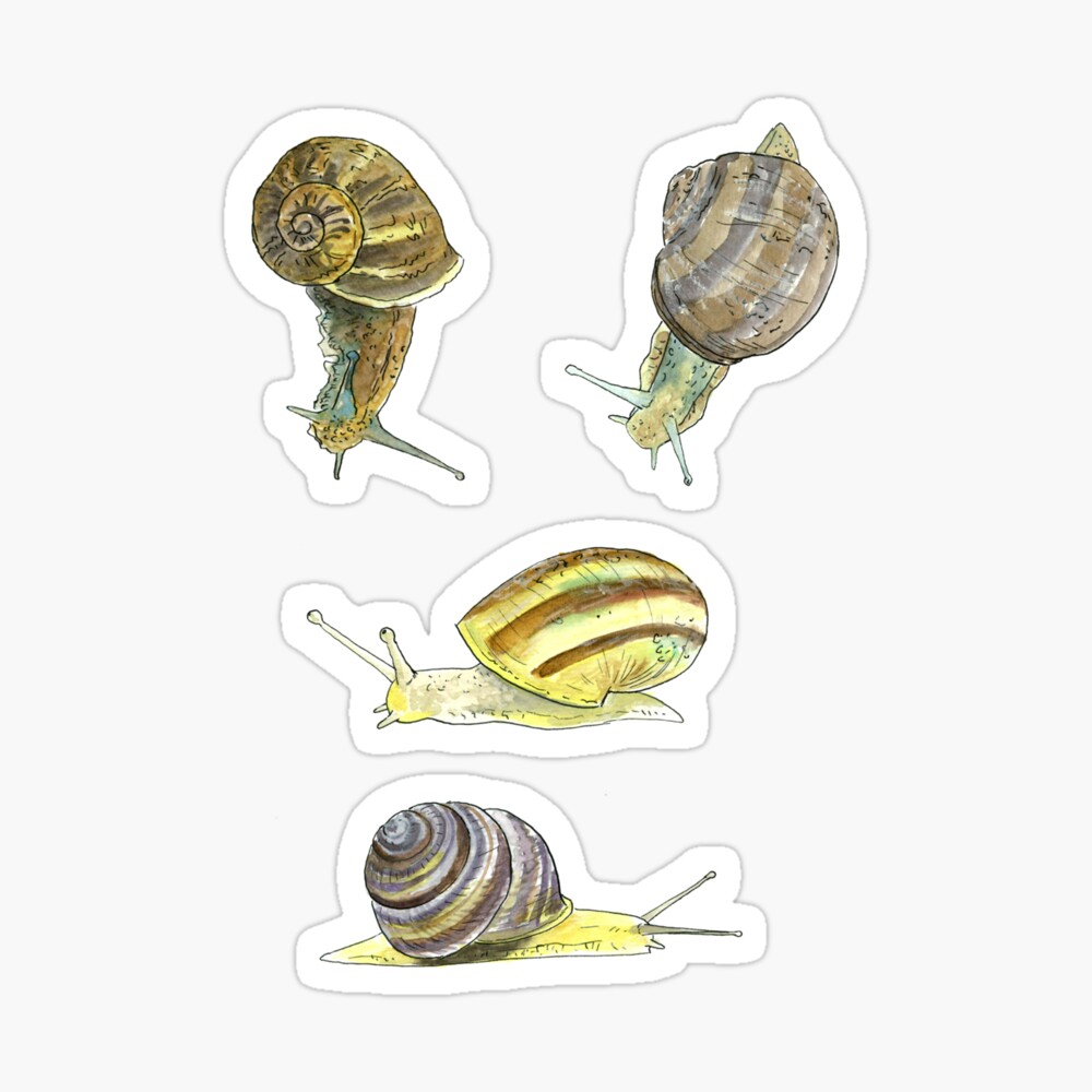 Slippery Snails 1 Sticker