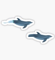 Winter with and without Fluke Sticker