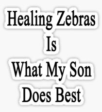 Healing Zebras Is What My Son Does Best Sticker
