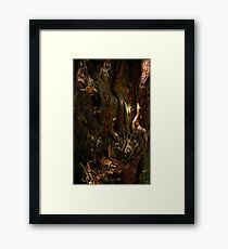 Glade Framed Print
