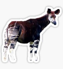Okapi sticker Sticker
