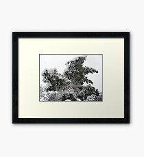 Heavy Spring Snowstorm Framed Print