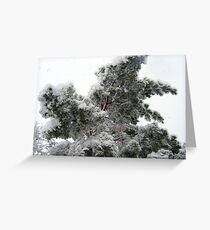 Heavy Spring Snowstorm Greeting Card