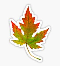Herbstblatt Sticker