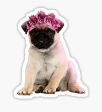 Hipster Pug Puppy Sticker