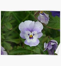 Double Layer Poster