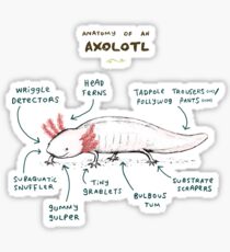 Anatomy of an Axolotl Sticker