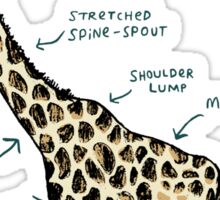 "Anatomy of a Giraffe" by Sophie Corrigan | Redbubble