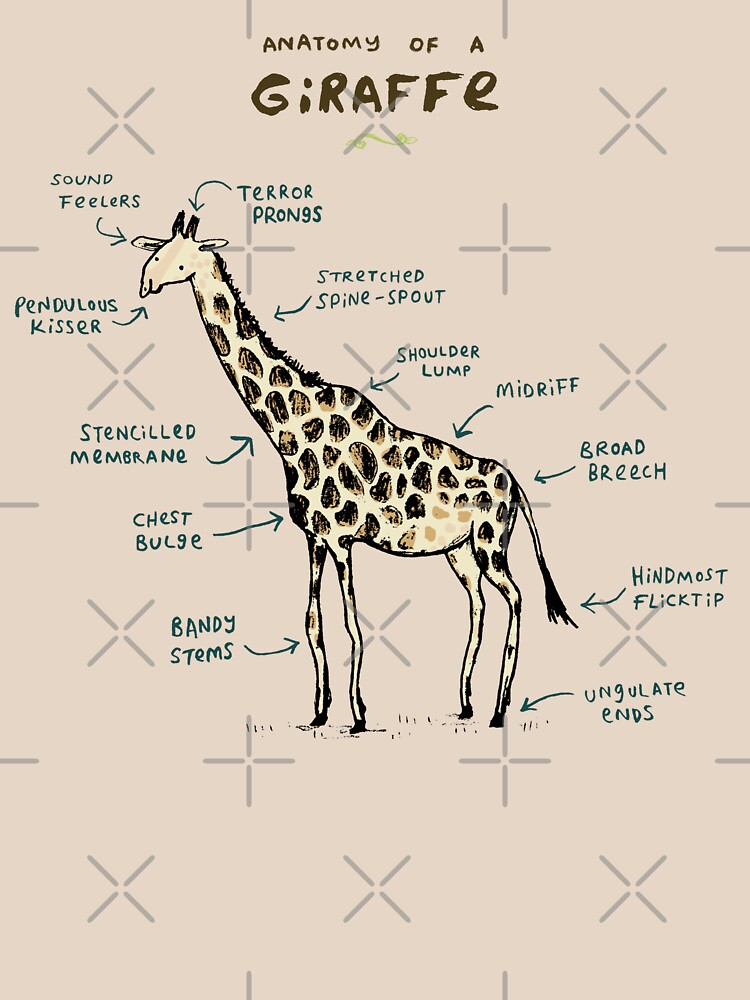 "Anatomy of a Giraffe" Unisex T-Shirt by SophieCorrigan | Redbubble