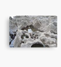 Wales, Trecco Bay rockpoool Metal Print