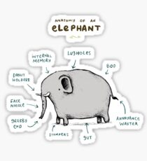 Anatomy of an Elephant Sticker