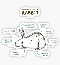 Anatomy of a Rabbit Sticker