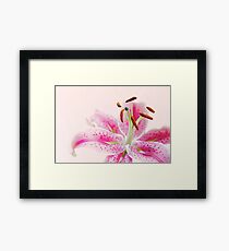 Stargazer Framed Print