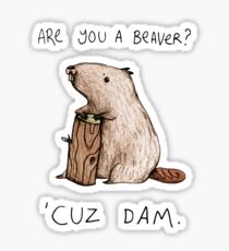 Dam Sticker
