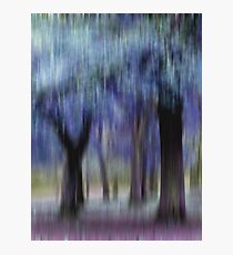Group of Trees in Motion - blue Photographic Print