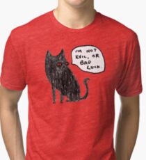 Black Cats Aren't Evil Tri-blend T-Shirt