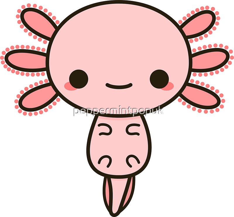 "Kawaii axolotl" Stickers by peppermintpopuk | Redbubble