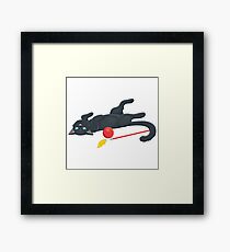 Playful cat with a ball Framed Print