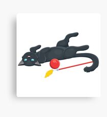 Playful cat with a ball Canvas Print