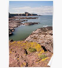 East Lothian coastline Poster