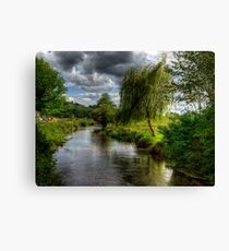 Willow & Water Canvas Print
