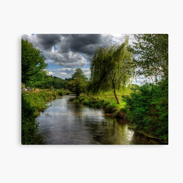 Willow & Water Canvas Print