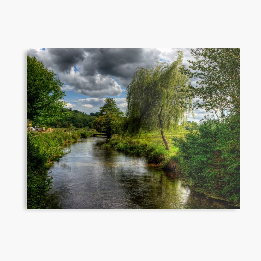 Willow & Water Metal Print