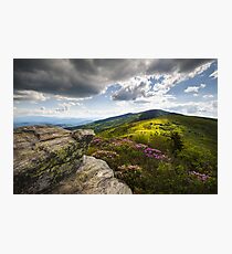 Roan Mountain Rhododendron Bloom - A Glorious Greeting Photographic Print