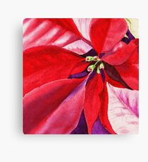 Christmas Red Poinsettia Canvas Print