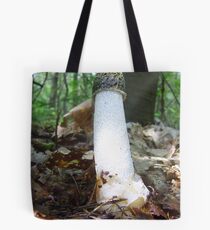 Phallus impudicus ( stinkzwam ) Tote Bag