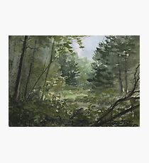 Plein Air 3 Photographic Print