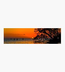 Sunset Sunbathers Photographic Print