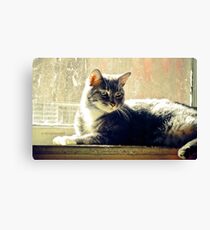 Alert Canvas Print
