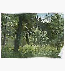 Plein Air 4 Poster