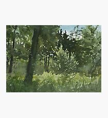 Plein Air 4 Photographic Print