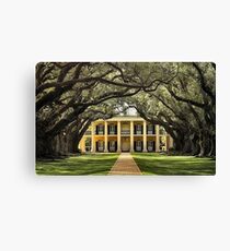 Oak Alley Plantation Canvas Print