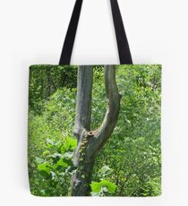 El Tenador Del Diablo Tote Bag