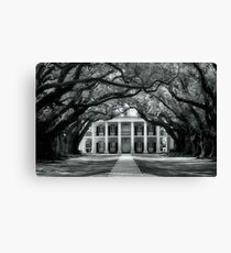 Plantation Canvas Print