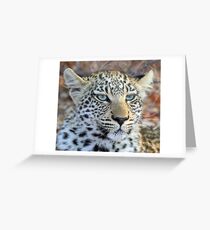 I am a pretty blue eyed leopard cub ! Greeting Card