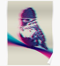 Bird Hair Day Poster
