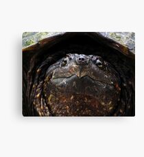 Snapping Turtle Canvas Print