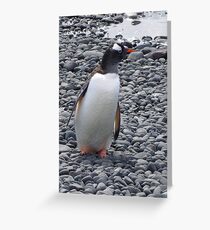 My good side Greeting Card