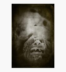 The book of gargoyle Photographic Print