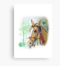 Prize winning horse Metal Print